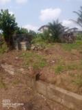 Terrain A Vendre A Logbessou,, Douala, Cameroon Real Estate