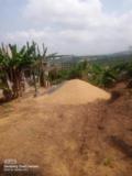 Terrain A Vendre A Logbessou,, Douala, Immobilier au Cameroun