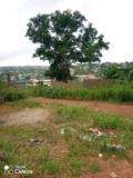 Terrain A Vendre A Yassa,, Douala, Immobilier au Cameroun