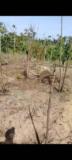 Terrain A Vendre A Lendi,, Kribi, Cameroon Real Estate