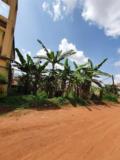 Terrain Titré A Vendre A Ahala,, Yaoundé, Cameroon Real Estate