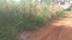 Terrain Titrée À Axe Ewankang 1500M2 Zone Fortement Habitée, À 200M2 Du Goudron,, Yaoundé, Immobilier au Cameroun