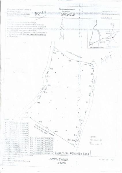 Terrain Kribi Bissiang 9Hectare 