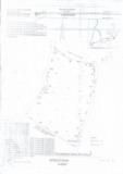 Terrain Kribi Bissiang 9Hectare,, Kribi, Immobilier au Cameroun