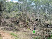 Terrain A Vendre,, Mbanga, Immobilier au Cameroun