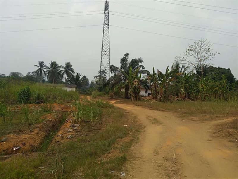 Terrain Agricole Non Titré De 50Ha À Vendre 