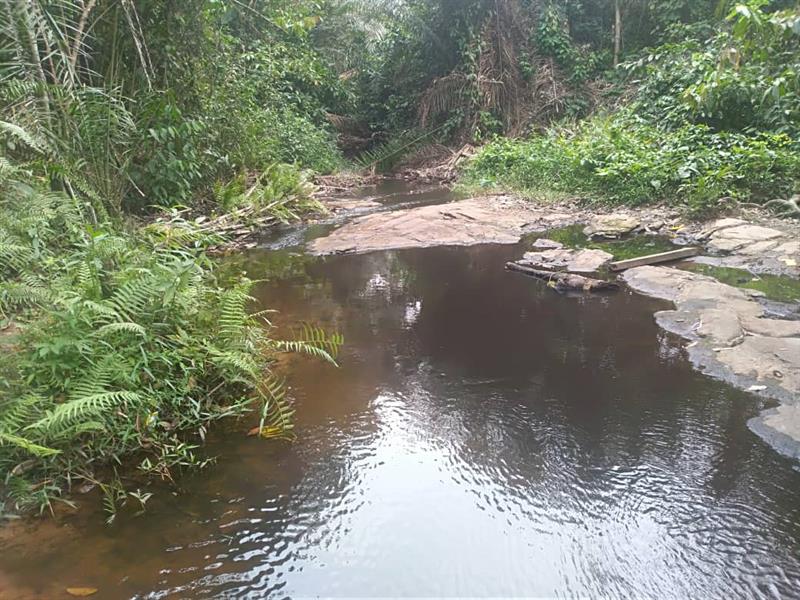 Terrain Agricole Non Titré De 50Ha À Vendre 