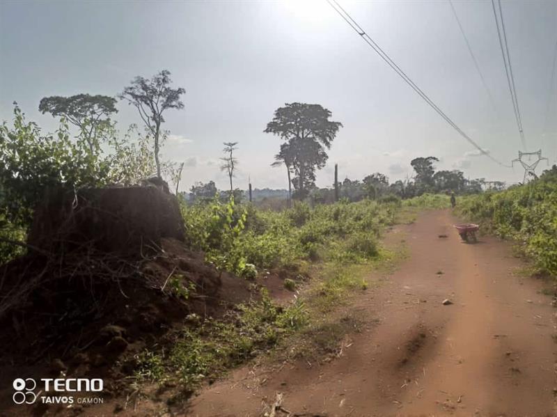 100 Hectares De Terrrain Titré, Pour Agriculture Et Élévvage À Vendre J &  J CORPORATION