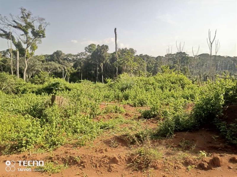 100 Hectares De Terrrain Titré, Pour Agriculture Et Élévvage À Vendre J &  J CORPORATION