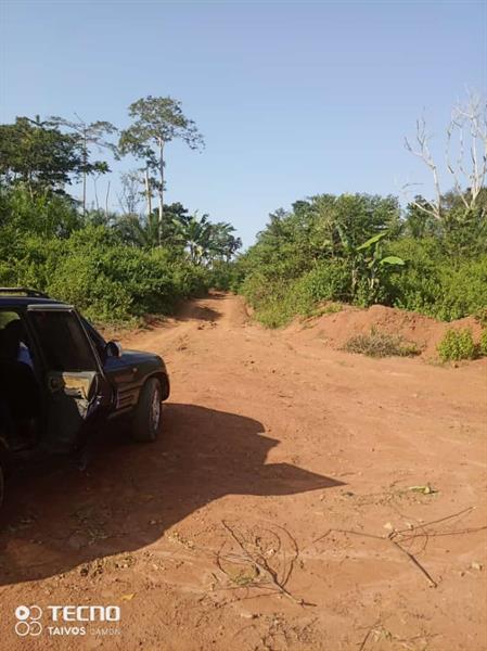 100 Hectares De Terrrain Titré, Pour Agriculture Et Élévvage À Vendre J &  J CORPORATION