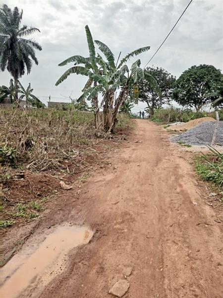 2 Hectares De Terrain Titré Loti À Vendrre À Lada Nkoabang J &  J CORPORATION