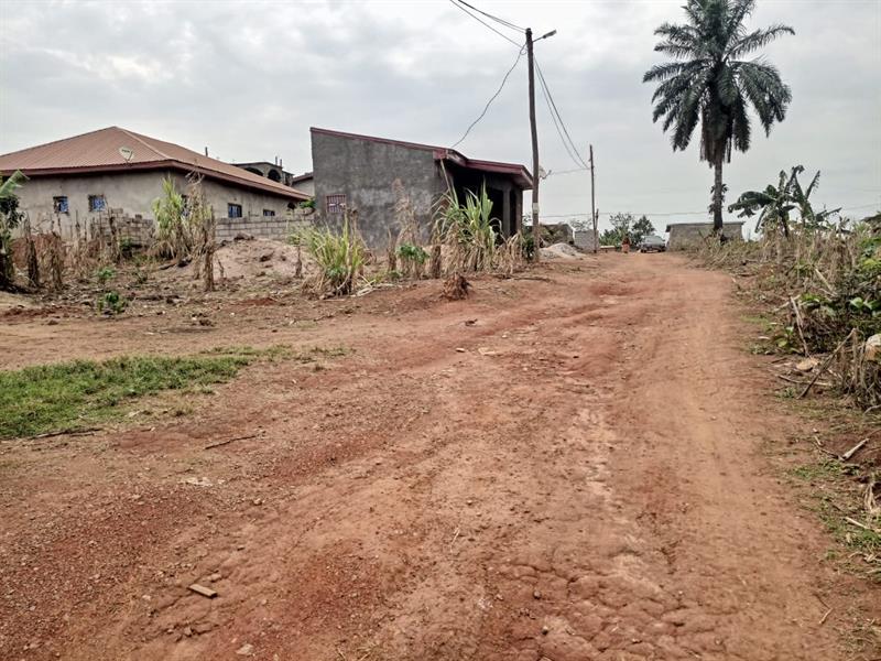 2 Hectares De Terrain Titré Loti À Vendrre À Lada Nkoabang Terrains à