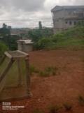 Terrain A Vendre,, Douala, Immobilier au Cameroun