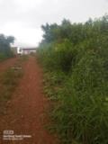 Terrain A Vendre,, Douala, Immobilier au Cameroun