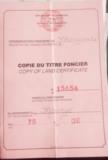 Terrain A Vendre,, Mbanga, Immobilier au Cameroun