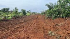 Terrain A Vendre,, Douala, Immobilier au Cameroun