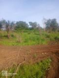 Terrain A Vendre,, Douala, Cameroon Real Estate