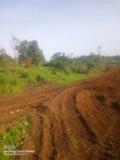 Terrain A Vendre,, Douala, Immobilier au Cameroun