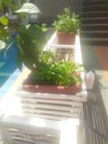 Appartement Avec Piscine Clim Eau Chaude Parking À Omnisport 2Chambres 2Douches,, Yaoundé, Cameroon Real Estate