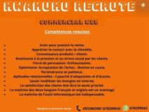 Offres D'emploi - Commercial Web,, Douala, Immobilier au Cameroun