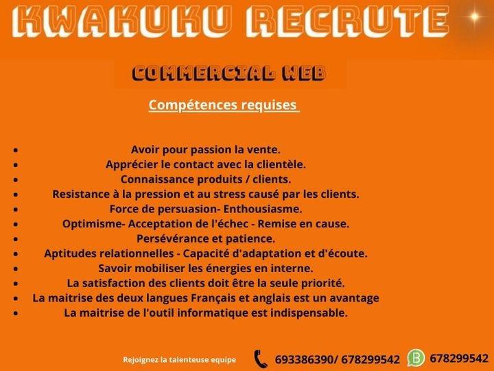 Offres D'emploi 