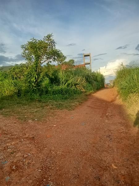 Terrain Pour Habitation À Vendre Yaoundé Odza 