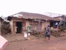 Emplacement Commercial De Premier Choix, Marché B, Ville De Dschang,, Dschang, Immobilier au Cameroun