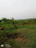 Terrain Titré Logbessou 3000M2,, Douala, Cameroon Real Estate