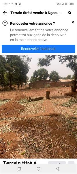 Terrain Titré À Vendre À Ngaoundere Et Non Titré 