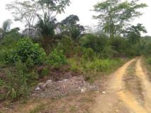 Terrain Agricole De Plus 500 Hectares (Non Titré) À Vendre Dans La Sanaga-Maritime,, Édéa, Immobilier au Cameroun