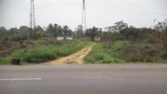 Terrain Agricole De 5 À 500 Hectares À Louer Pour Tous Types De Projets Dans La Sanaga-Maritime Plus Précisément À Makondo,, Édéa, Immobilier au Cameroun