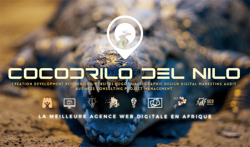 Creation De Site Web, Logo Et E-Commerce Sur Mesure En Afrique Dans L'immobilier 