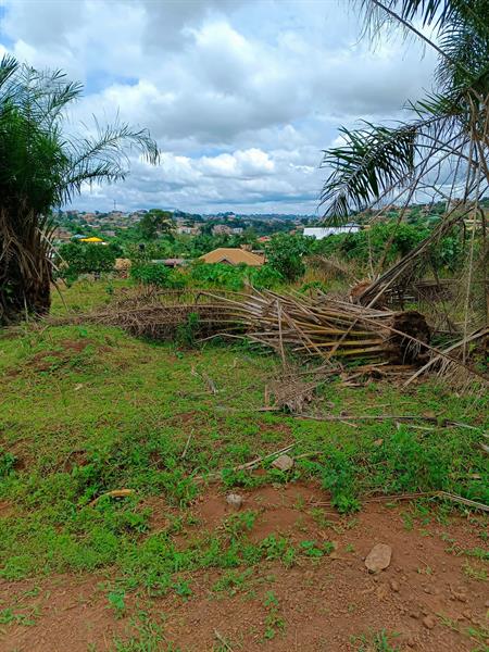 Terrain Titré À Vendre À Fougerole Pas Loin De L'axe Principal J &  J CORPORATION