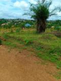 Terrain Titré À Vendre À Fougerole Pas Loin De L'axe Principal,, Yaoundé, Immobilier au Cameroun