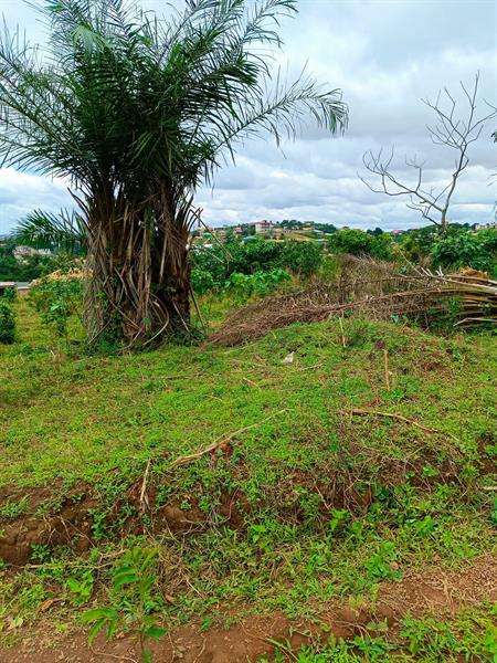 Terrain Titré À Vendre À Fougerole Pas Loin De L'axe Principal J &  J CORPORATION