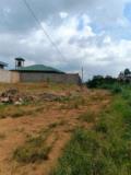 Terrain Titré À Vendre À Tsinga Village,, Yaoundé, Immobilier au Cameroun