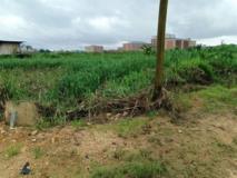 Terrain A Louer,, Douala, Immobilier au Cameroun