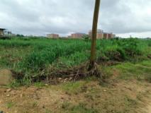 Terrain A Louer,, Douala, Immobilier au Cameroun