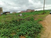 Terrain A Louer,, Douala, Immobilier au Cameroun