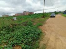 Terrain A Louer,, Douala, Immobilier au Cameroun