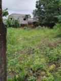 Terrain Titré À Vendre À Yassa,, Douala, Immobilier au Cameroun