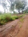 Terrain A Vendre,, Bafoussam, Immobilier au Cameroun