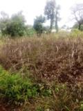 Terrain A Vendre,, Bafoussam, Immobilier au Cameroun