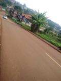 Terrain A Vendre,, Bafoussam, Cameroon Real Estate