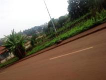 Terrain A Vendre,, Bafoussam, Immobilier au Cameroun