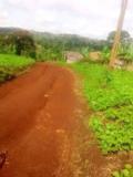 Terrain A Vendre,, Bafoussam, Immobilier au Cameroun