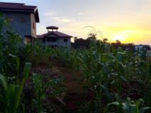 Terrain Titrré À Vendre À Odza Petit Marché,, Yaoundé, Immobilier au Cameroun