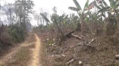 Terrain Agricole De Plus 500 Hectares Non Titré À Vendre Dans La Sanaga-Maritime Plus Précisément À Makondo,, Édéa, Immobilier au Cameroun