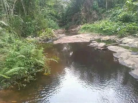 Terrain Agricole De 2 À 400 Hectares Non Titré À Louer Dans La Sanaga-Maritime 