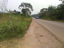 Terrain Agricole De 2 À 400 Hectares Non Titré À Louer Dans La Sanaga-Maritime,, Édéa, Cameroon Real Estate